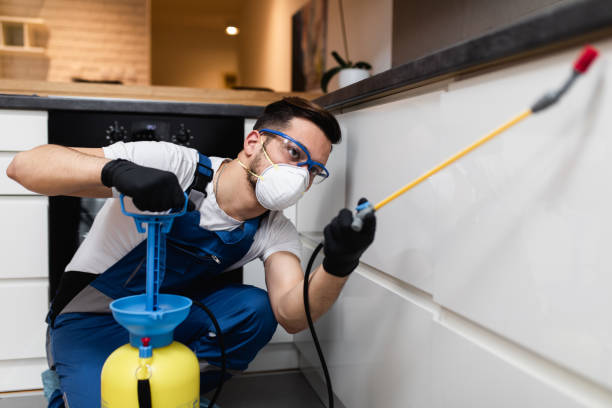 Best Affordable Pest Control Services  in Bonifay, FL